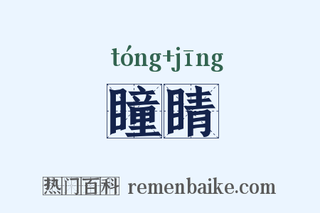 瞳睛是什么意思的图片